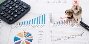 Vượt Qua Báo Cáo Doanh Thu: Các Báo Cáo Quản Trị Cốt Lõi Cho Phòng Khám Thú Y Hiện Đại