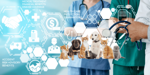 Từ Dữ Liệu Bệnh Án Đến Y Học Chứng Cứ: Nâng Tầm Chuyên Môn Cho Phòng Khám Thú Y