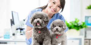 Từ “Viral Nhất Thời” Đến “Khách Hàng Trọn Đời”: Xây Dựng Cây Cầu Niềm Tin Vượt Ra Ngoài TikTok